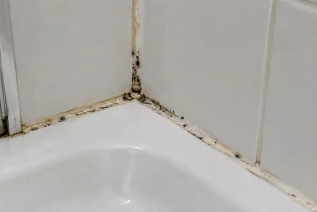 Kitbedrijf Harderwijk – beschimmelde kitranden